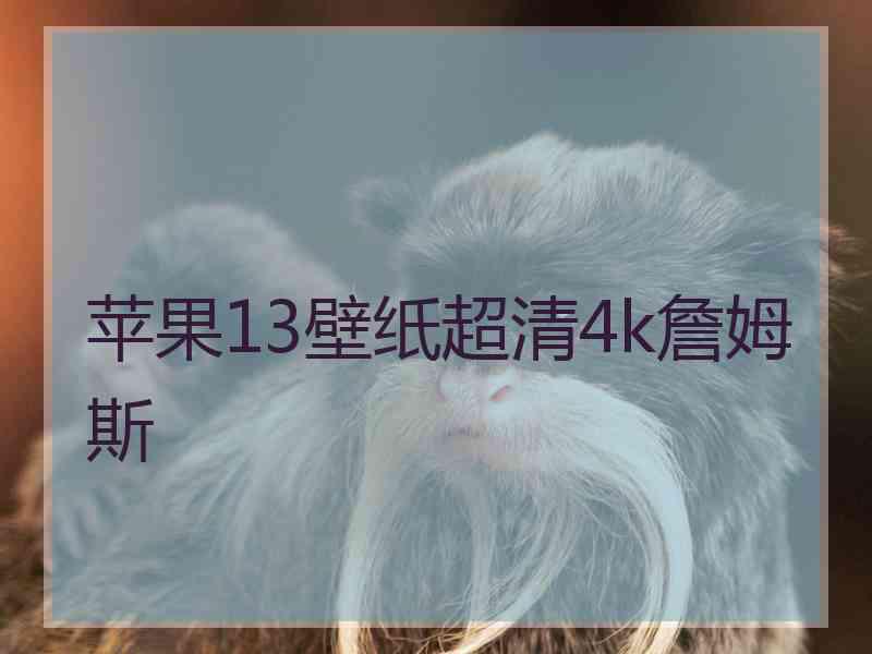 苹果13壁纸超清4k詹姆斯