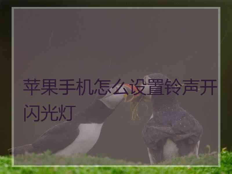 苹果手机怎么设置铃声开闪光灯