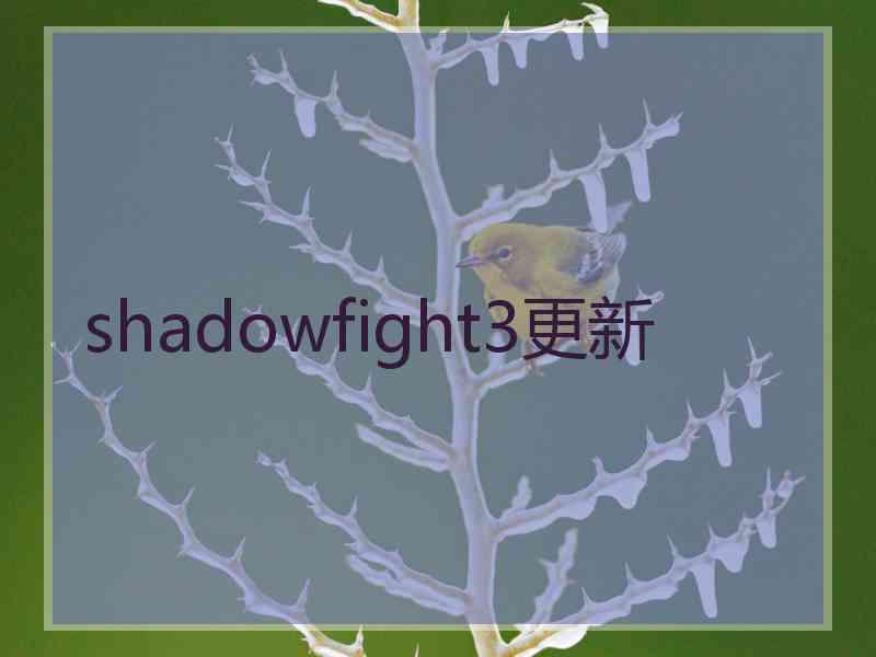 shadowfight3更新