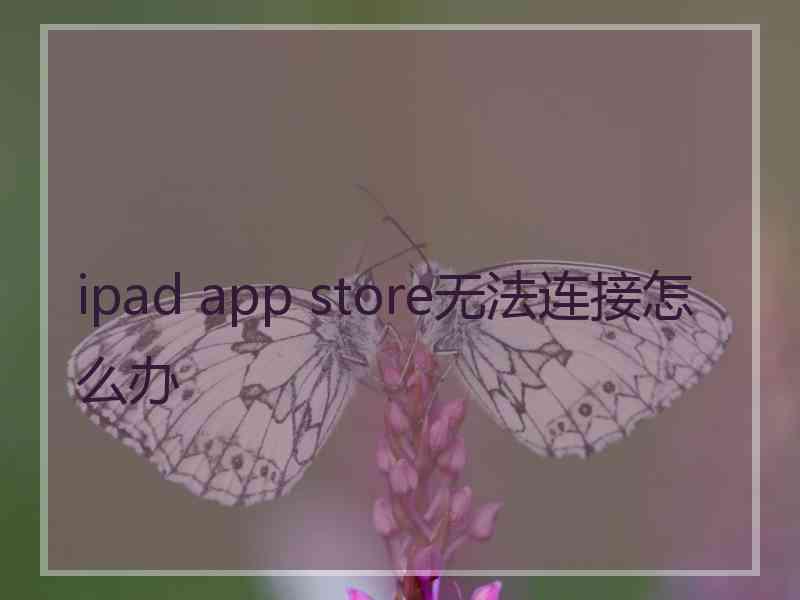 ipad app store无法连接怎么办