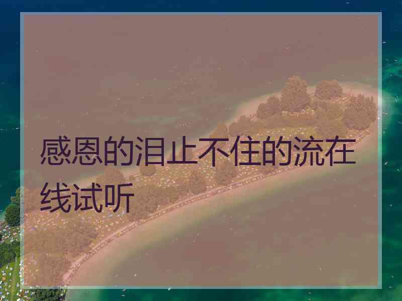 感恩的泪止不住的流在线试听