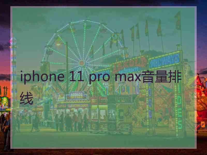 iphone 11 pro max音量排线