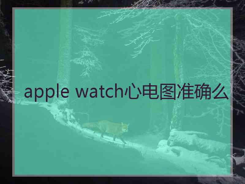 apple watch心电图准确么