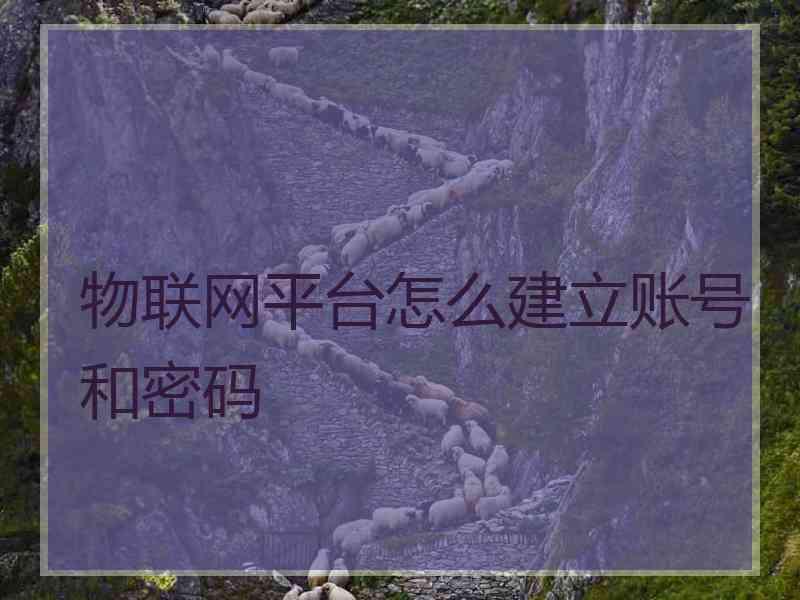 物联网平台怎么建立账号和密码