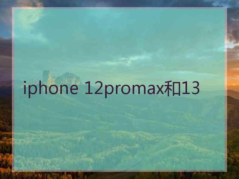 iphone 12promax和13