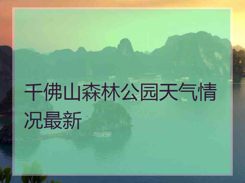 千佛山森林公园天气情况最新