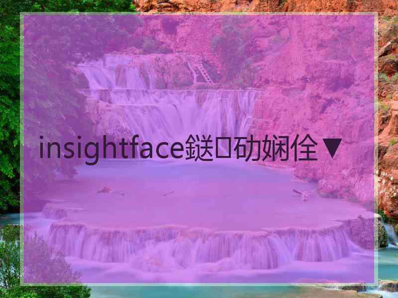 insightface鎹㈣劯娴佺▼