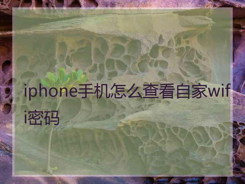 iphone手机怎么查看自家wifi密码