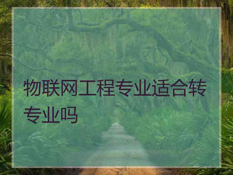 物联网工程专业适合转专业吗