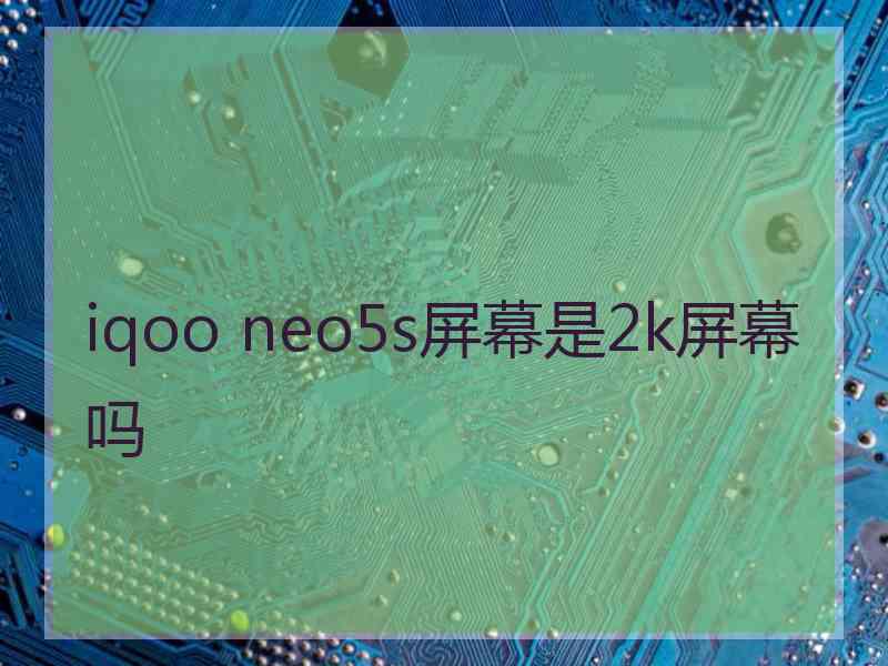 iqoo neo5s屏幕是2k屏幕吗