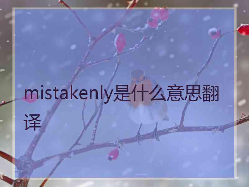 mistakenly是什么意思翻译