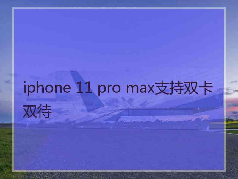 iphone 11 pro max支持双卡双待