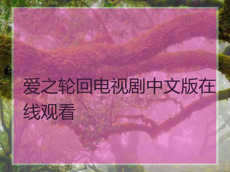 爱之轮回电视剧中文版在线观看