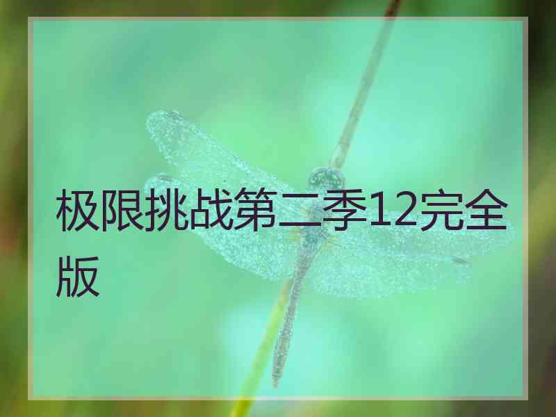 极限挑战第二季12完全版