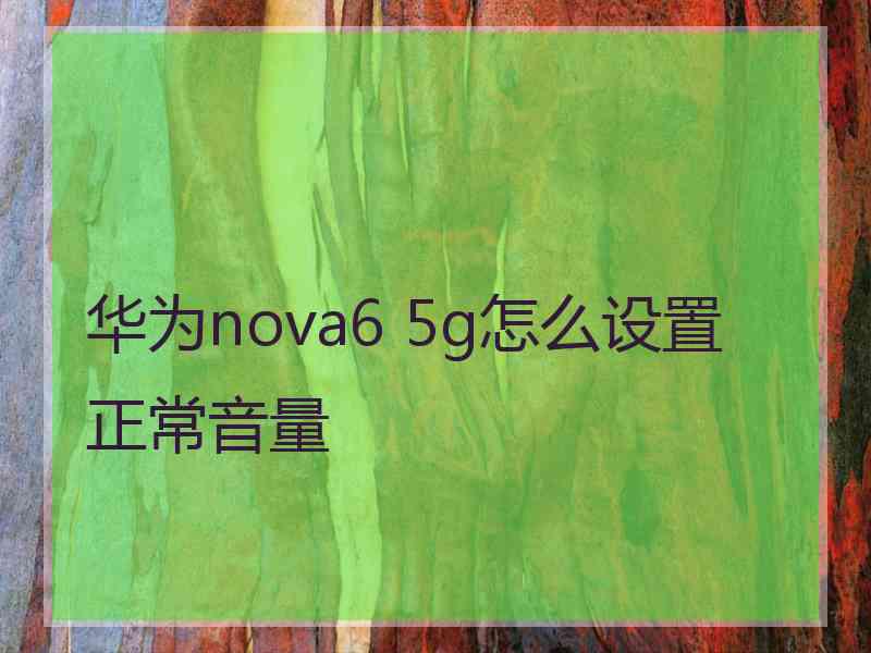 华为nova6 5g怎么设置正常音量