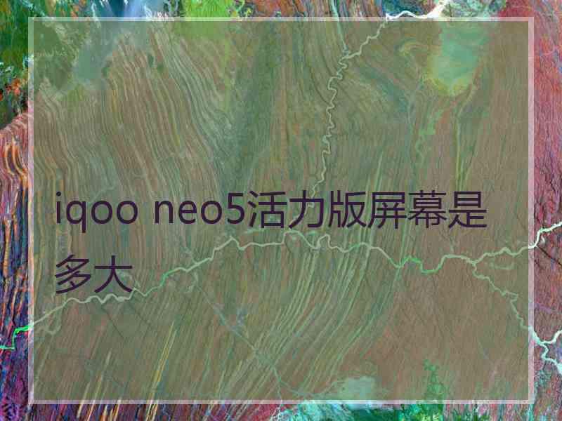 iqoo neo5活力版屏幕是多大