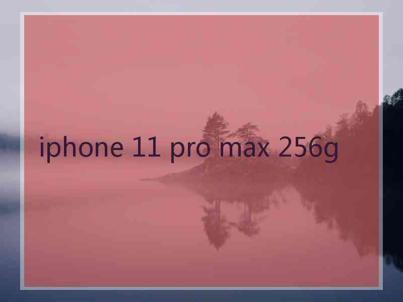 iphone 11 pro max 256g