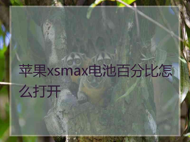 苹果xsmax电池百分比怎么打开