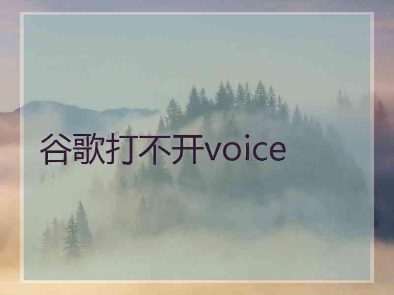 谷歌打不开voice