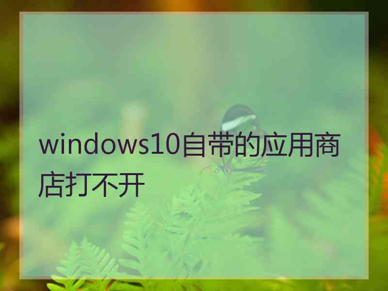 windows10自带的应用商店打不开