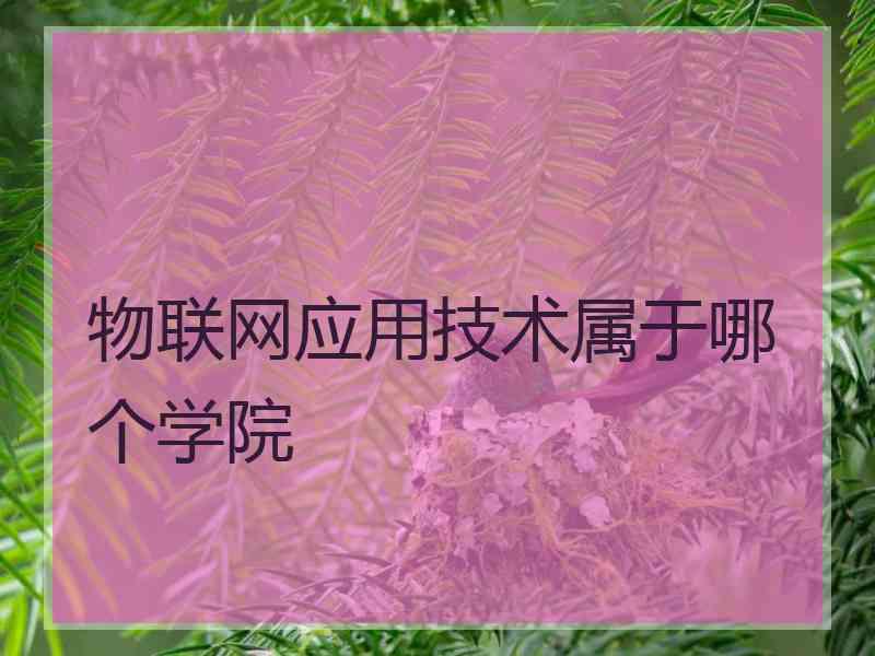 物联网应用技术属于哪个学院