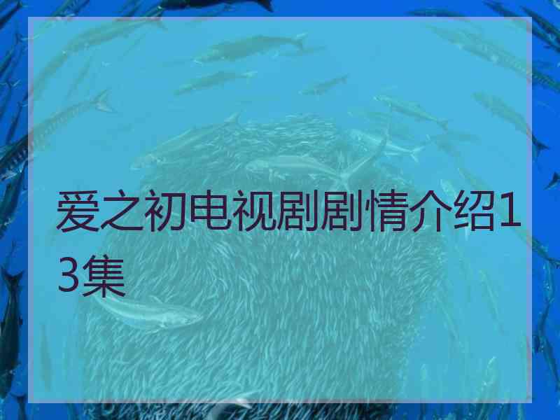 爱之初电视剧剧情介绍13集