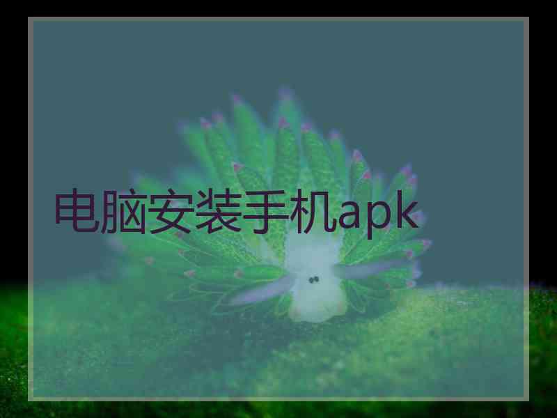 电脑安装手机apk