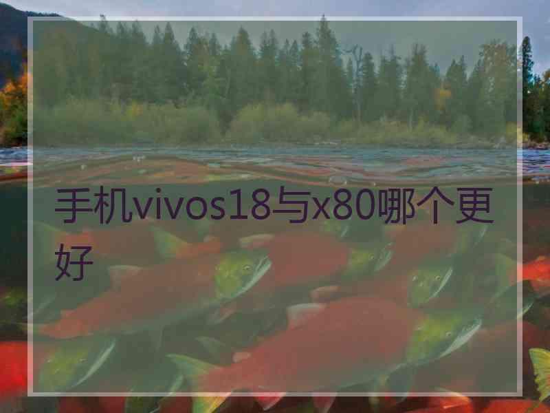 手机vivos18与x80哪个更好