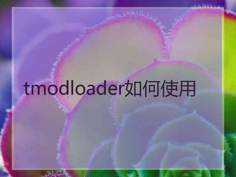 tmodloader如何使用