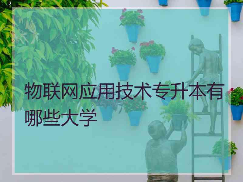 物联网应用技术专升本有哪些大学