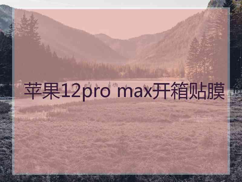 苹果12pro max开箱贴膜