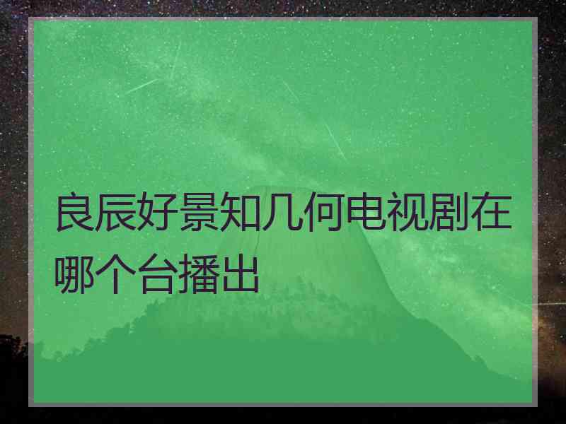 良辰好景知几何电视剧在哪个台播出