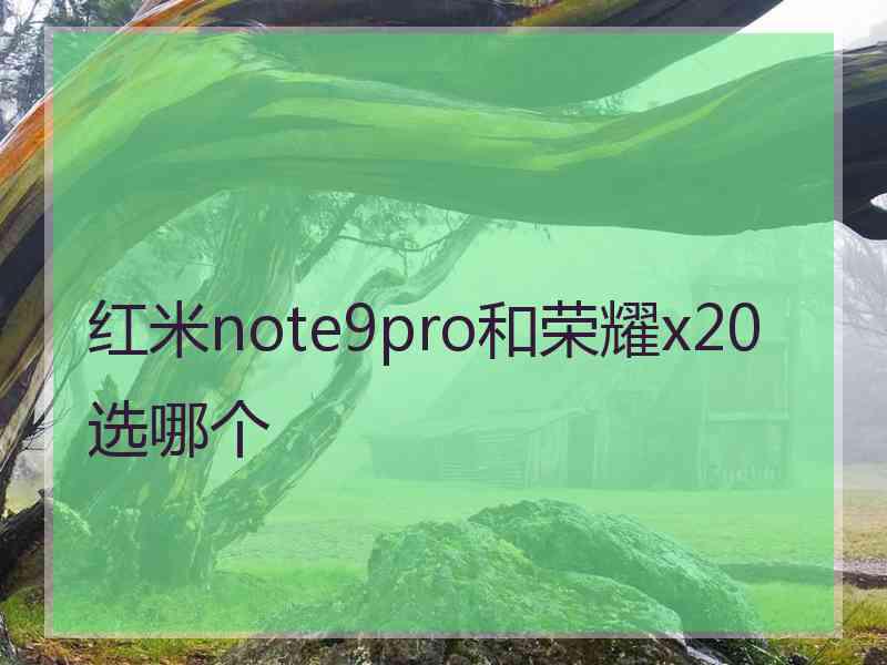 红米note9pro和荣耀x20选哪个