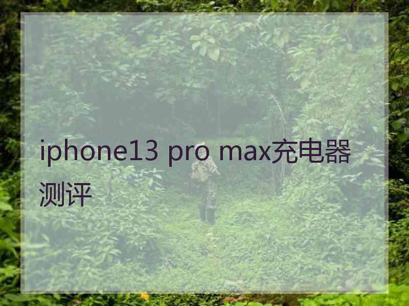 iphone13 pro max充电器测评