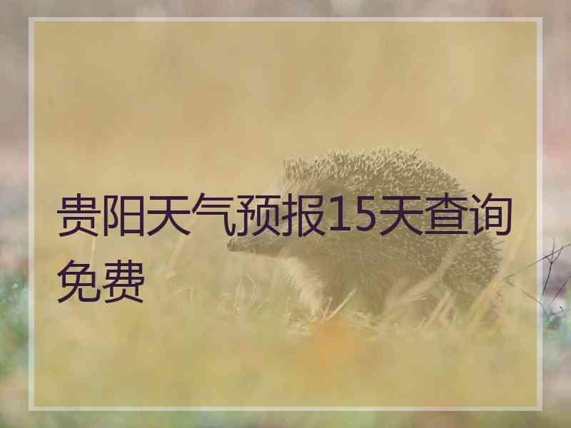 贵阳天气预报15天查询免费