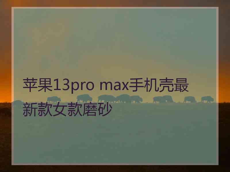 苹果13pro max手机壳最新款女款磨砂