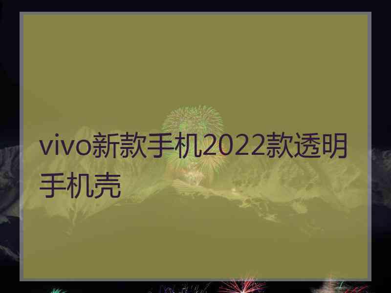 vivo新款手机2022款透明手机壳