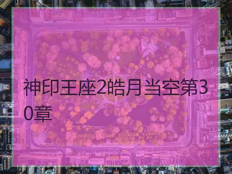 神印王座2皓月当空第30章