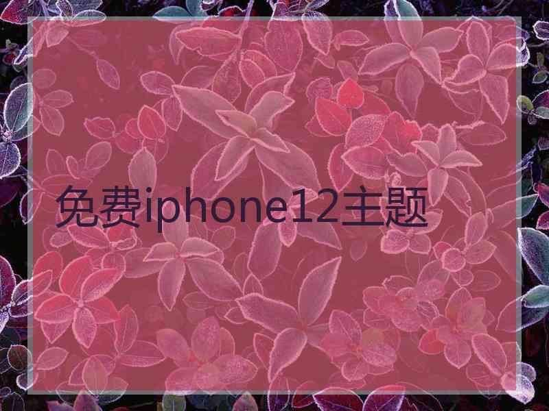 免费iphone12主题