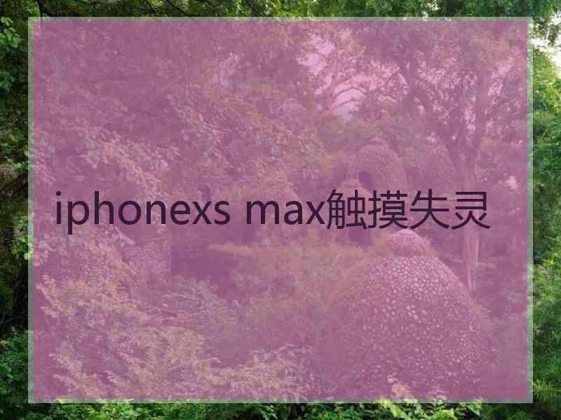 iphonexs max触摸失灵