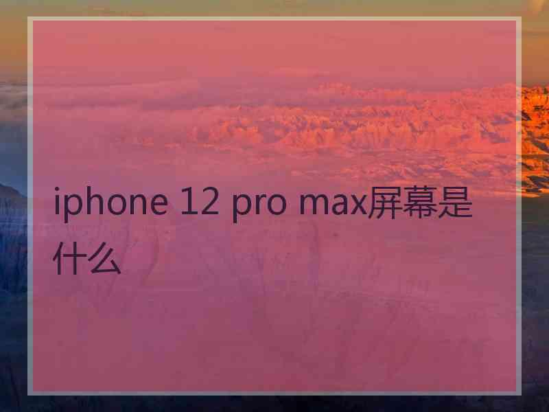 iphone 12 pro max屏幕是什么