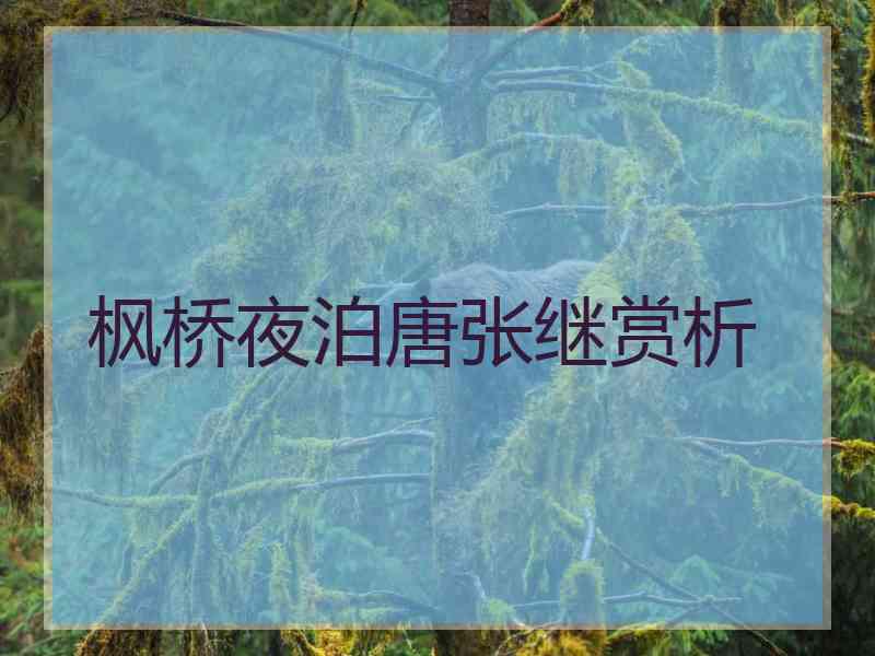 枫桥夜泊唐张继赏析