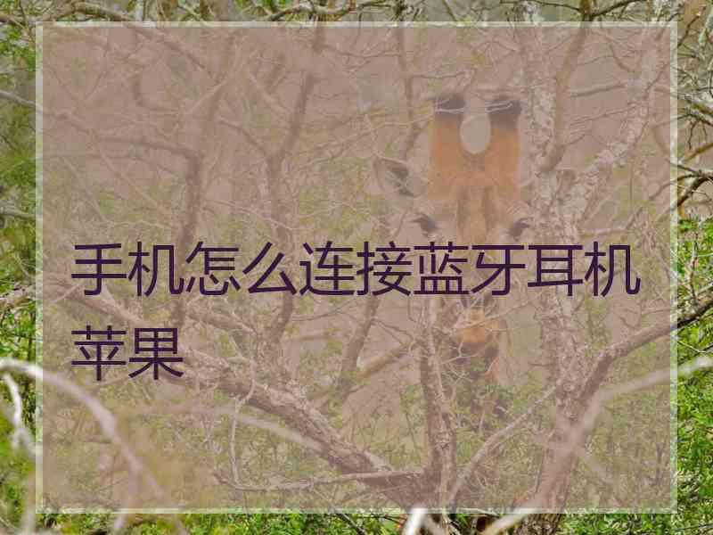 手机怎么连接蓝牙耳机苹果