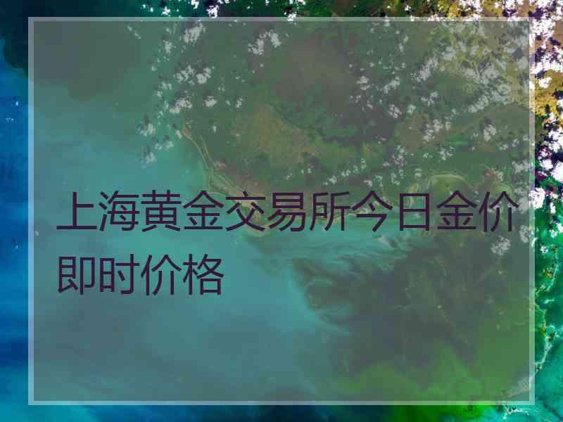 上海黄金交易所今日金价即时价格