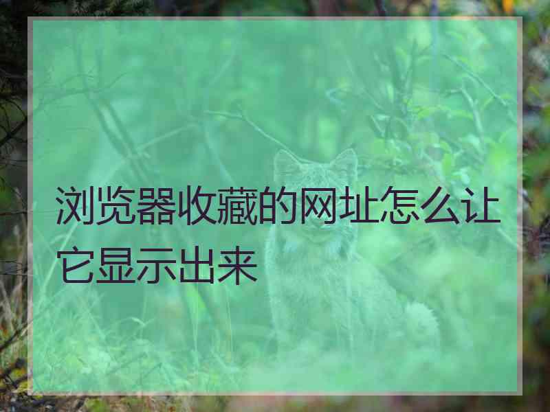 浏览器收藏的网址怎么让它显示出来