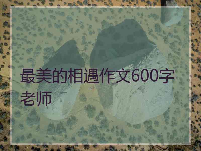 最美的相遇作文600字老师