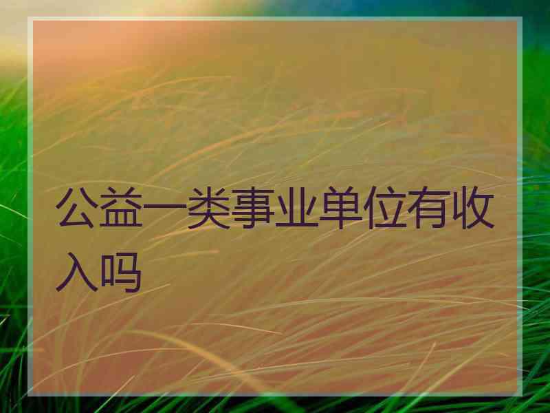 公益一类事业单位有收入吗