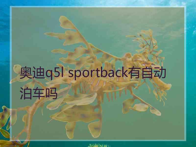 奥迪q5l sportback有自动泊车吗