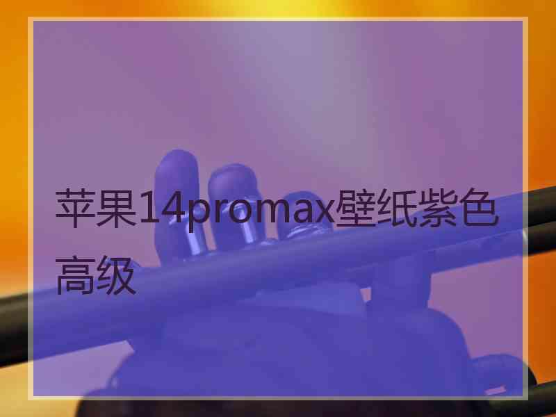 苹果14promax壁纸紫色高级