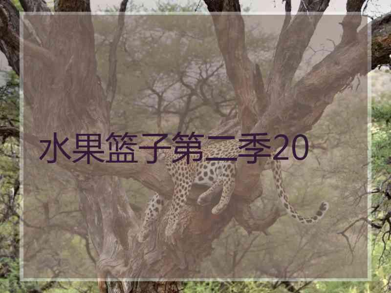 水果篮子第二季20